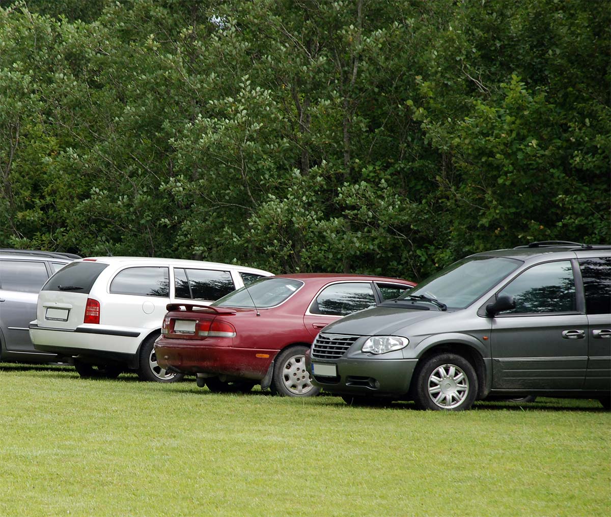 core-grass-cars