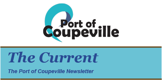 POC Newsletter header cropped
